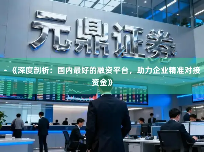 - 《深度剖析：国内最好的融资平台，助力企业精准对接资金》