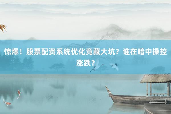惊爆！股票配资系统优化竟藏大坑？谁在暗中操控涨跌？