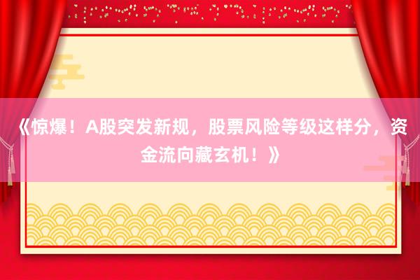 《惊爆！A股突发新规，股票风险等级这样分，资金流向藏玄机！》
