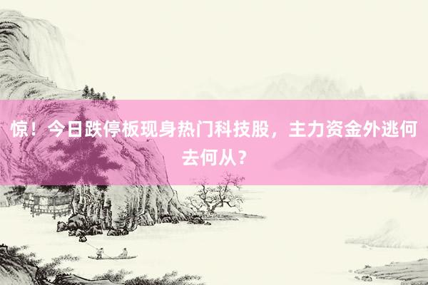 惊！今日跌停板现身热门科技股，主力资金外逃何去何从？