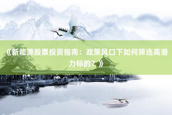 《新能源股票投资指南：政策风口下如何筛选高潜力标的？》