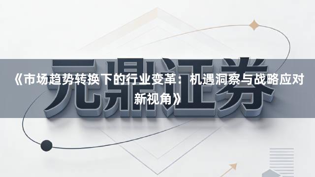 《市场趋势转换下的行业变革：机遇洞察与战略应对新视角》