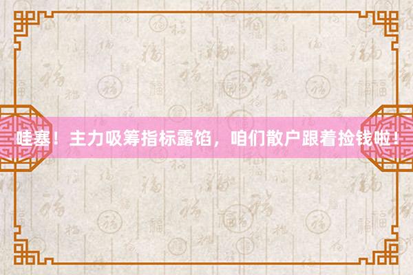 哇塞！主力吸筹指标露馅，咱们散户跟着捡钱啦！